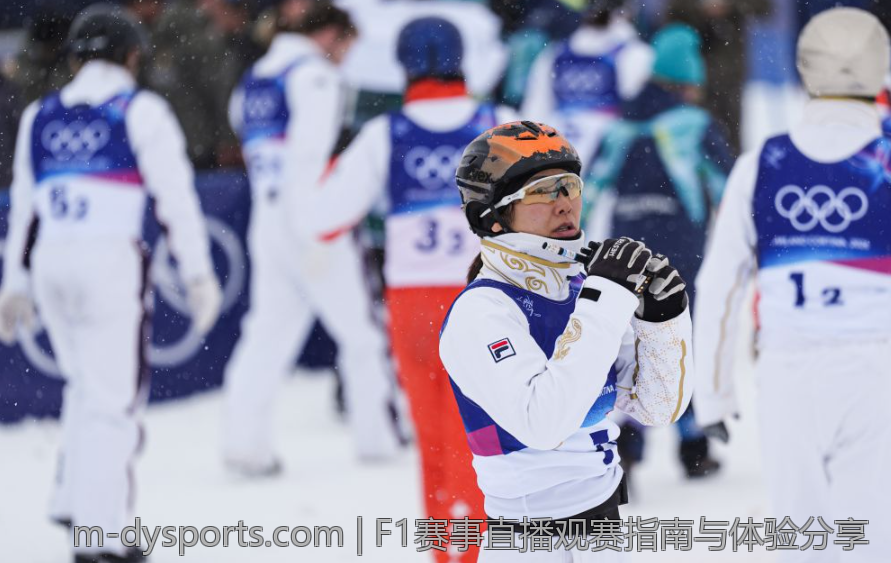 F1赛事直播观赛指南与体验分享